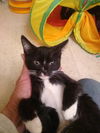 Shiloh