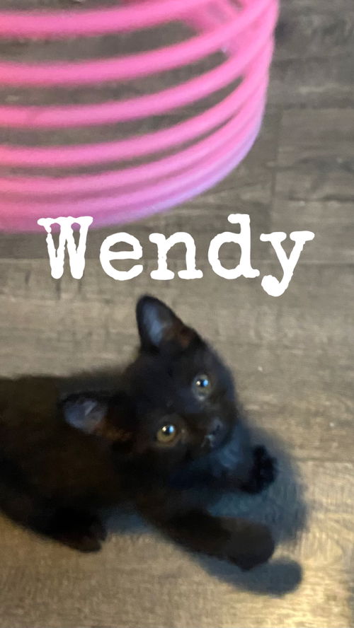 Frankie aka Wendy