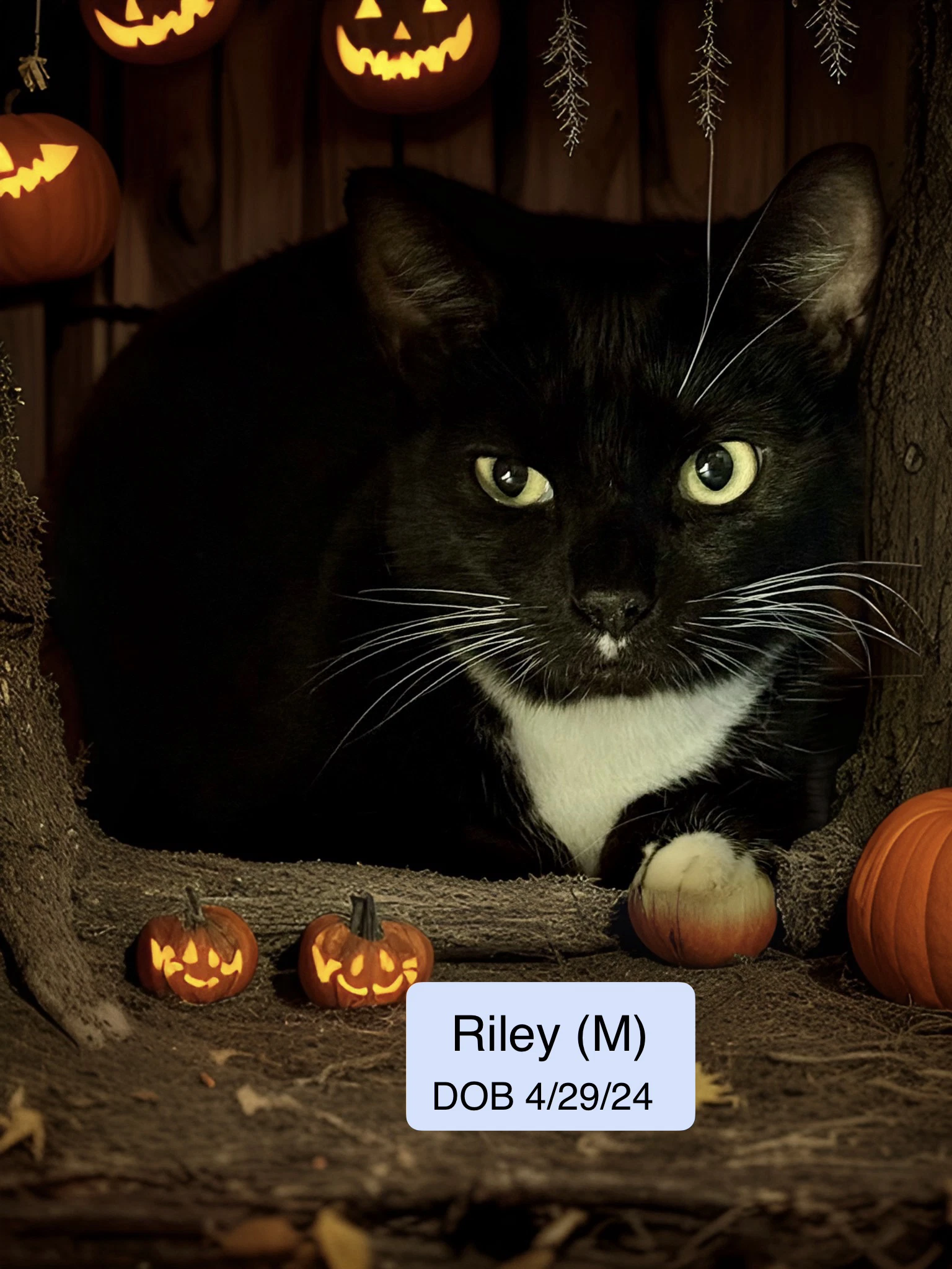 Riley