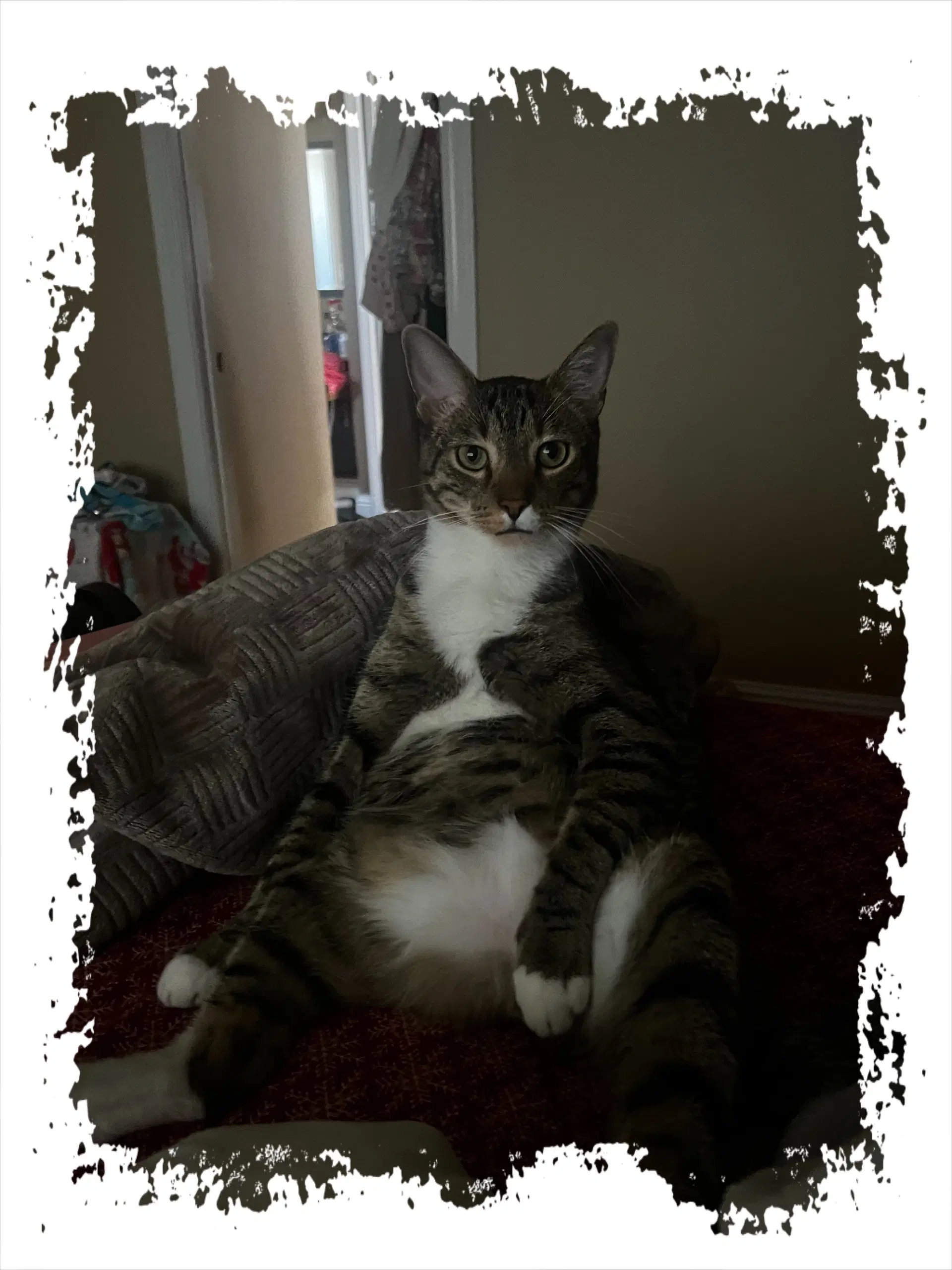 Copurrnicus Bonded With Ella image 2