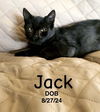 Jack