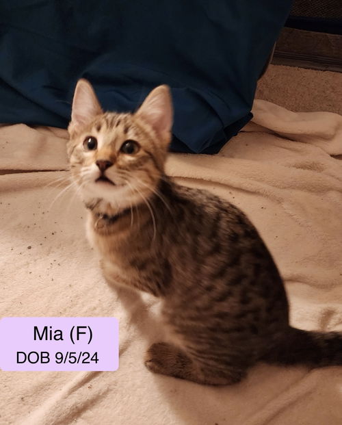 Mia