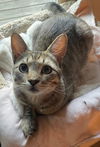 Bon aka Linus