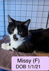 Missy S.