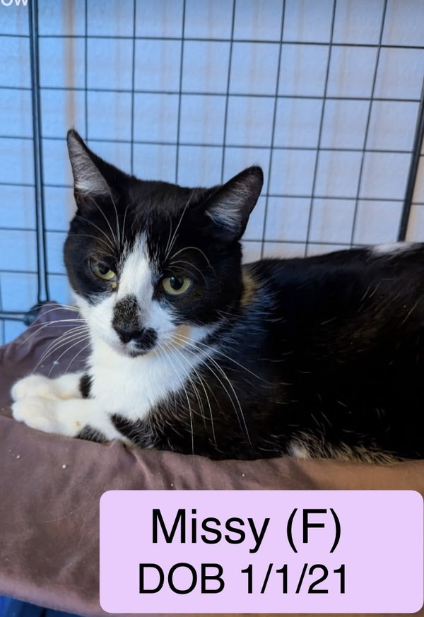 Missy S.