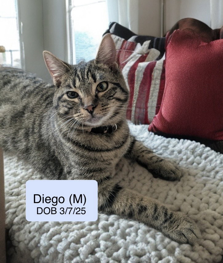 Diego Image