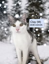 Clay (bonded with Tiny Diamond)