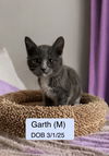 Garth