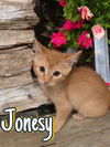 Jonesy