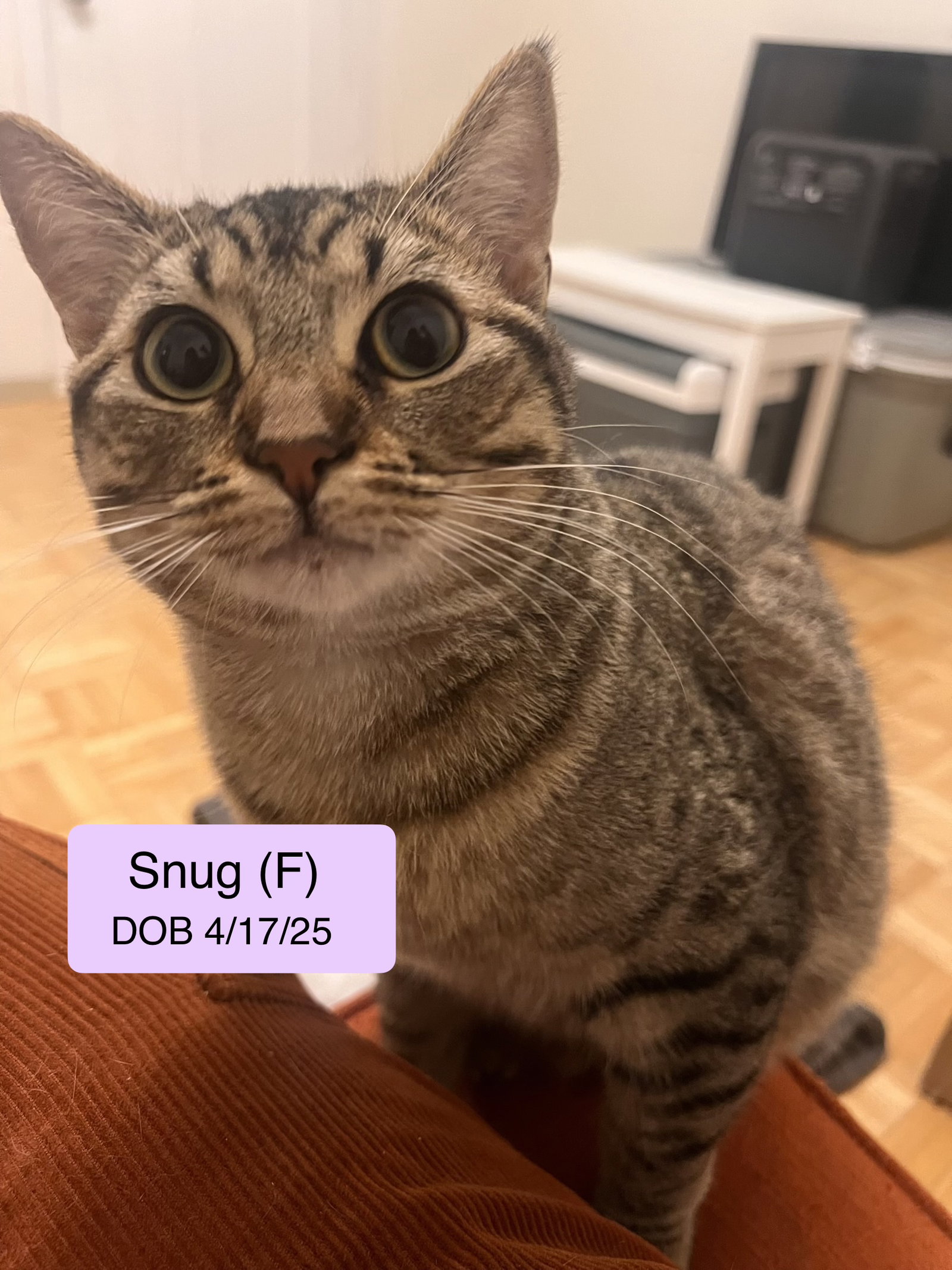 Snug