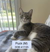 Puck bonded with Pease Blossom