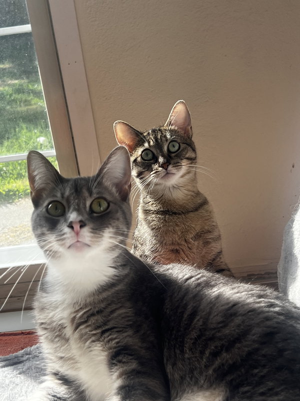 Puck bonded with Pease Blossom