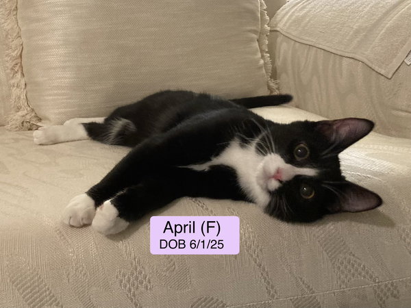 April