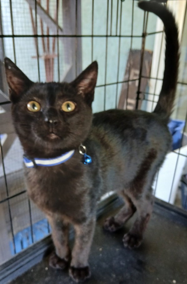 Salem