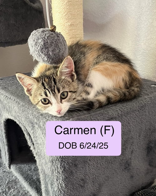 Carmen