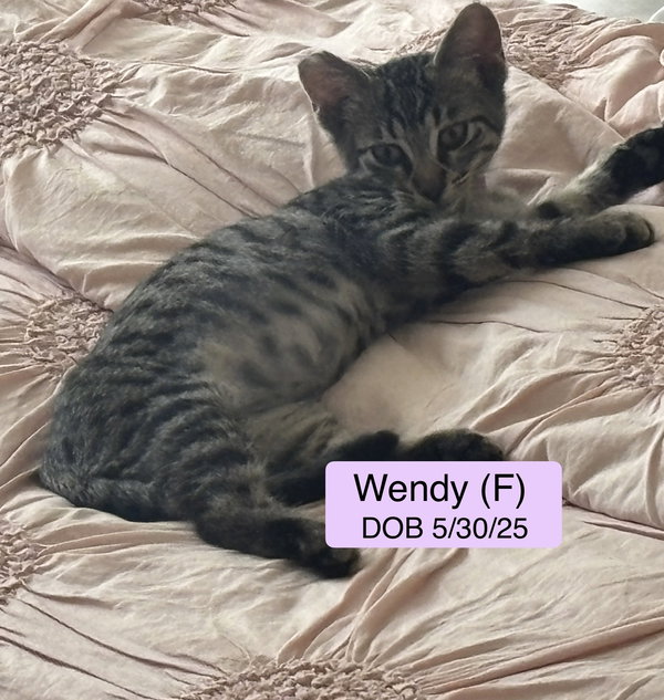 Wendy
