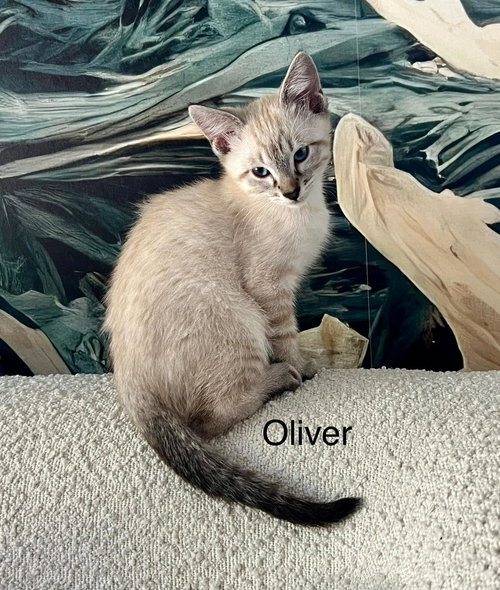 Oliver W