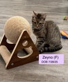 Zeyno