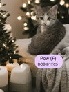 Pow