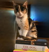 Maggie Kittenhaal
