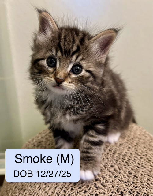 Smokē