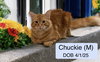 Chuckie