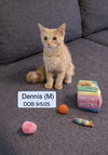 Dennis