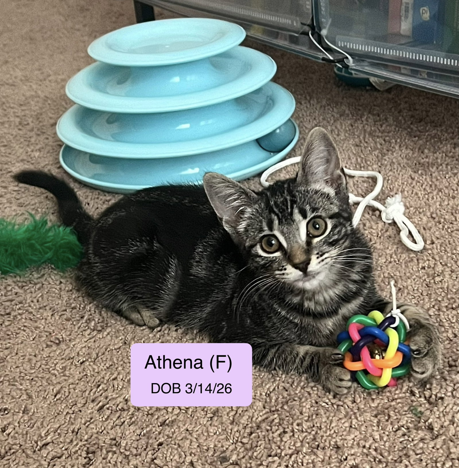 Athena