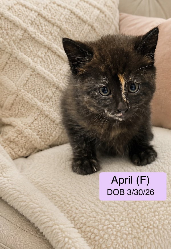 April