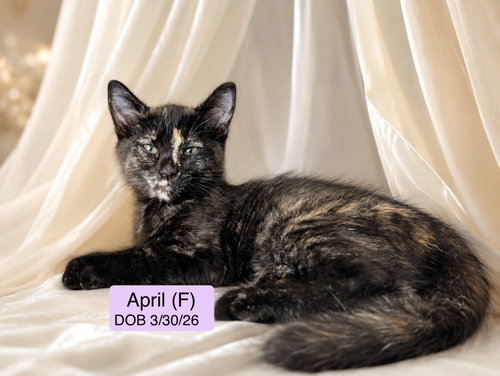 April