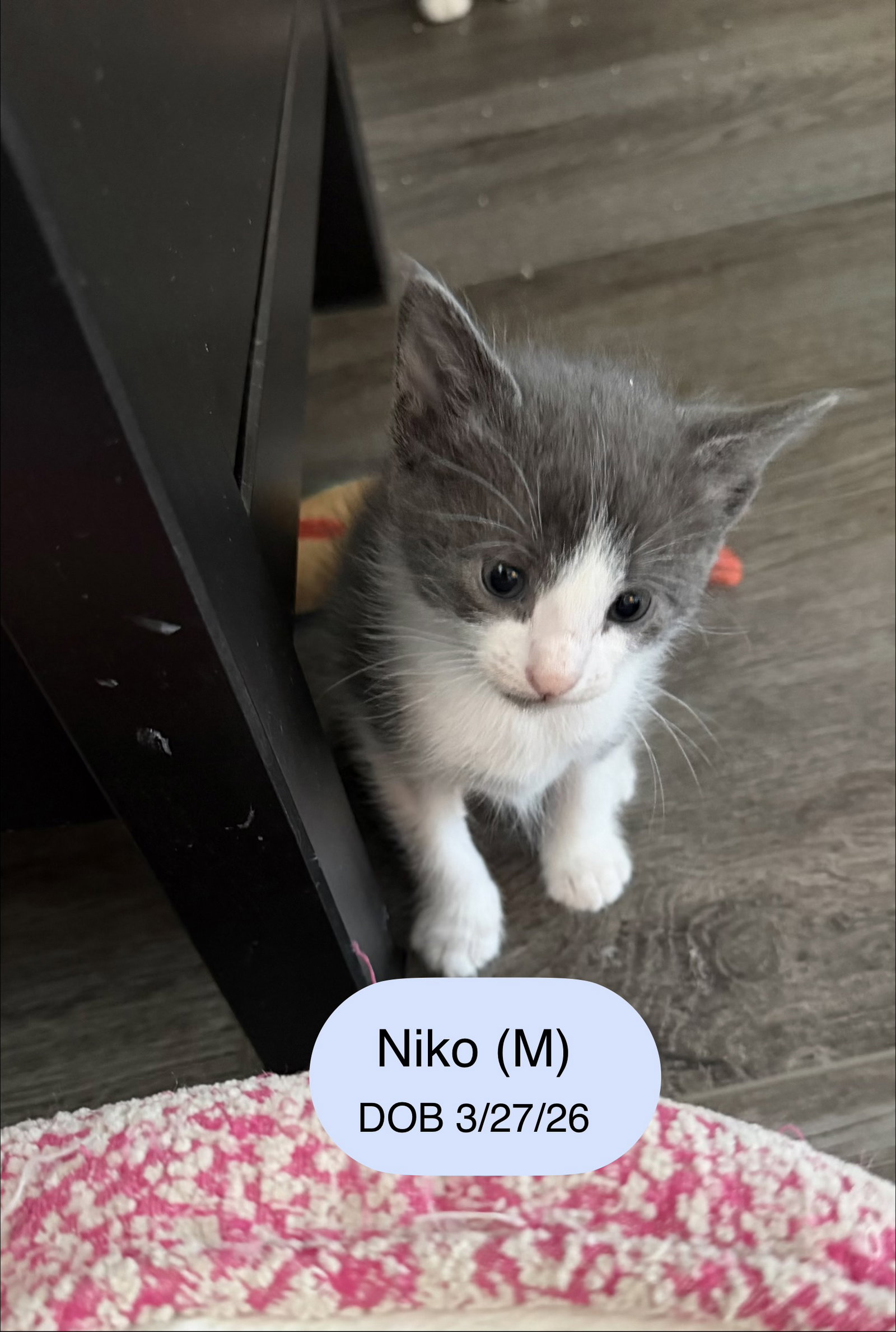 Niko