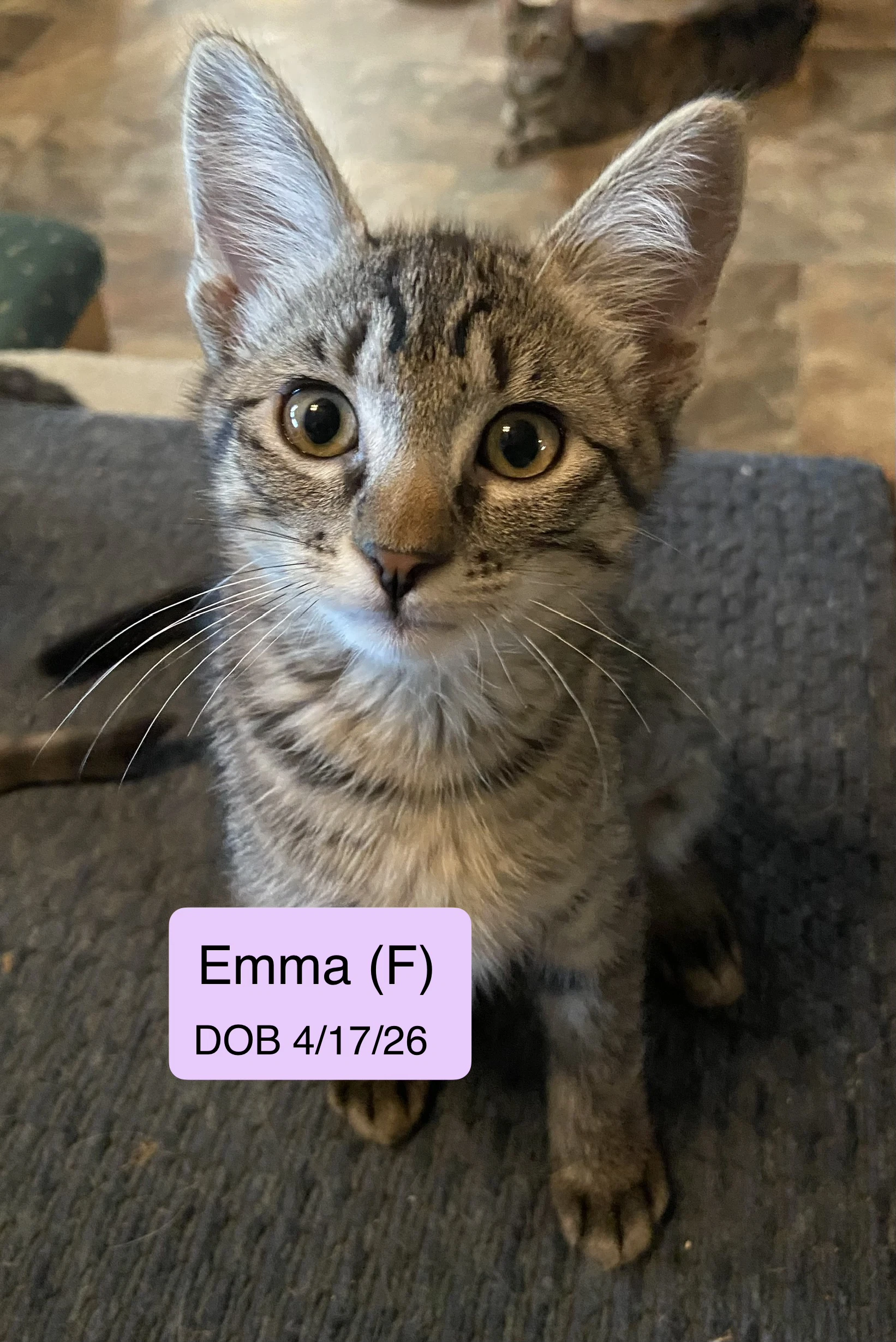 Emma