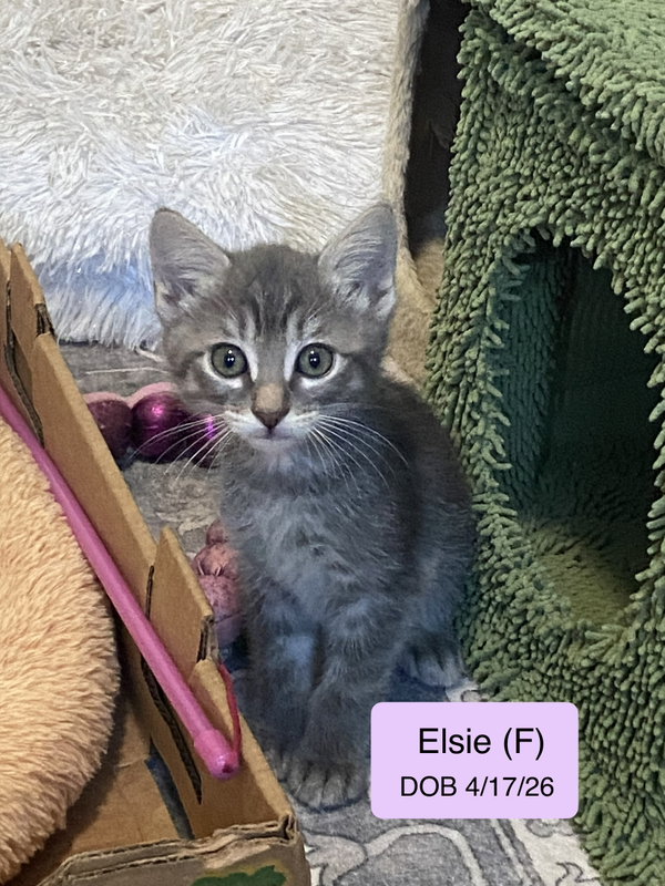 Elsie