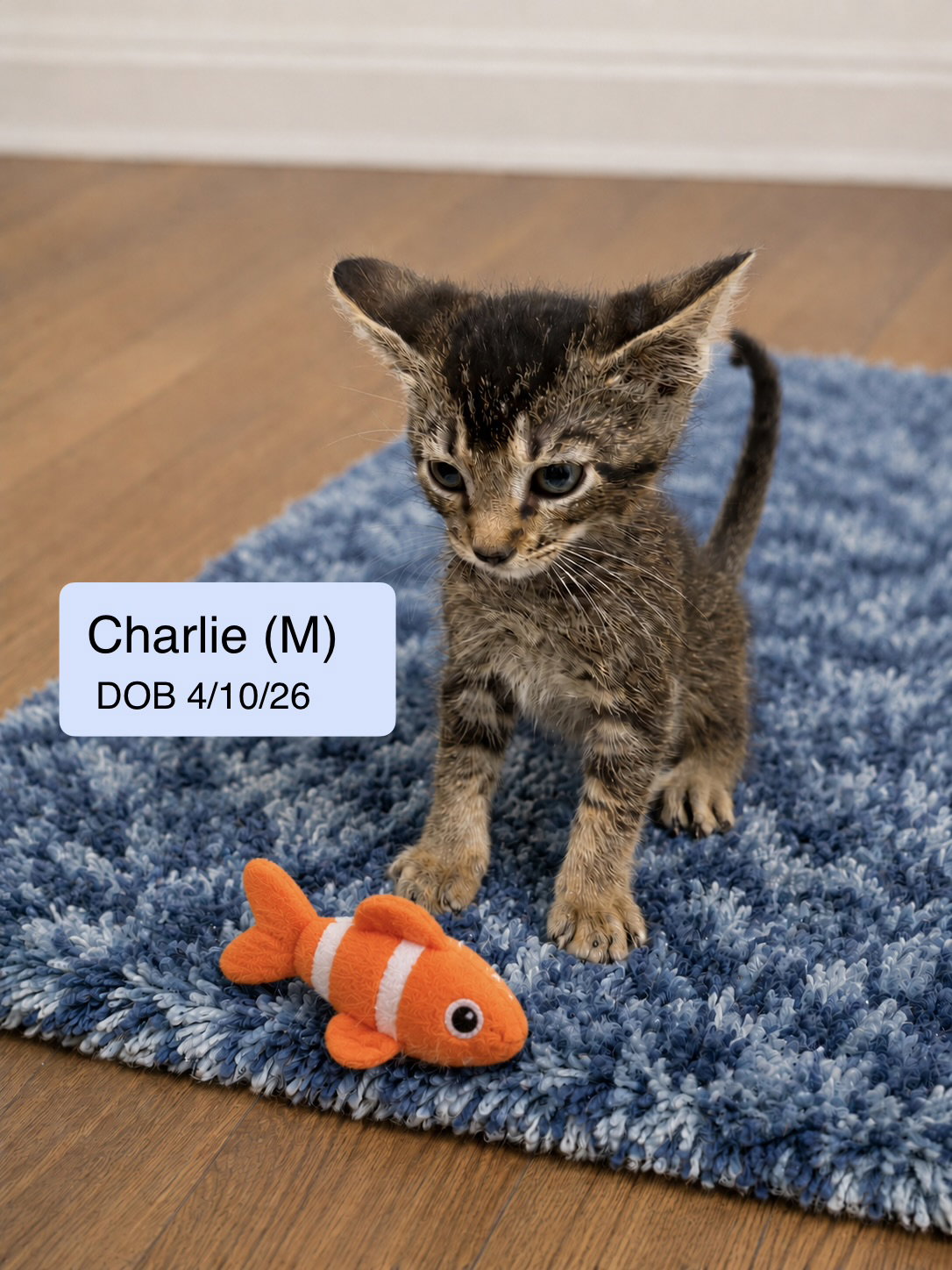 Charlie