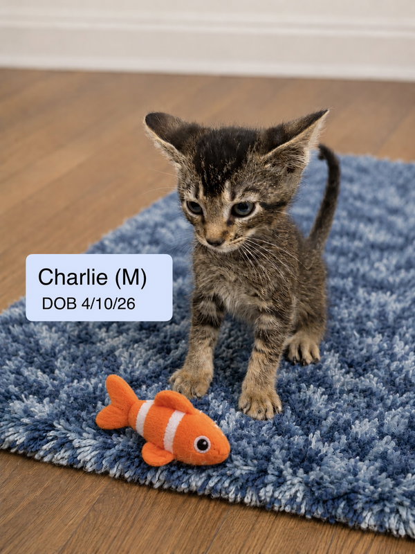 Charlie