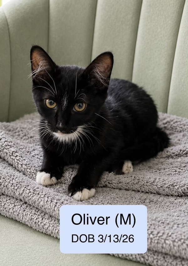 Oliver