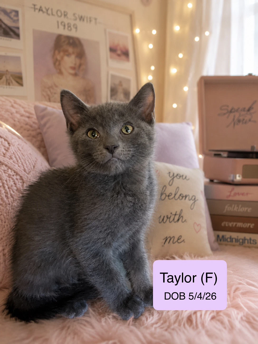 Taylor