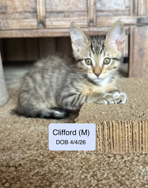 Clifford