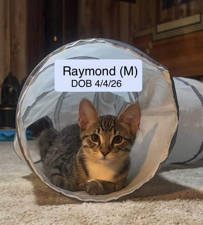 Raymond