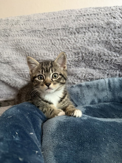 Clem