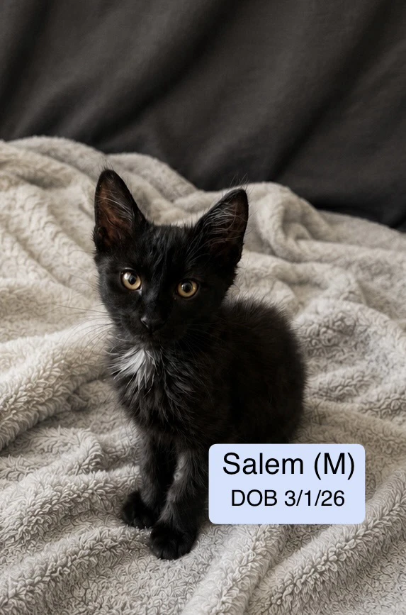 Salem