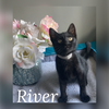 River