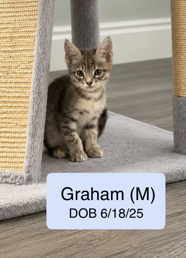 Graham