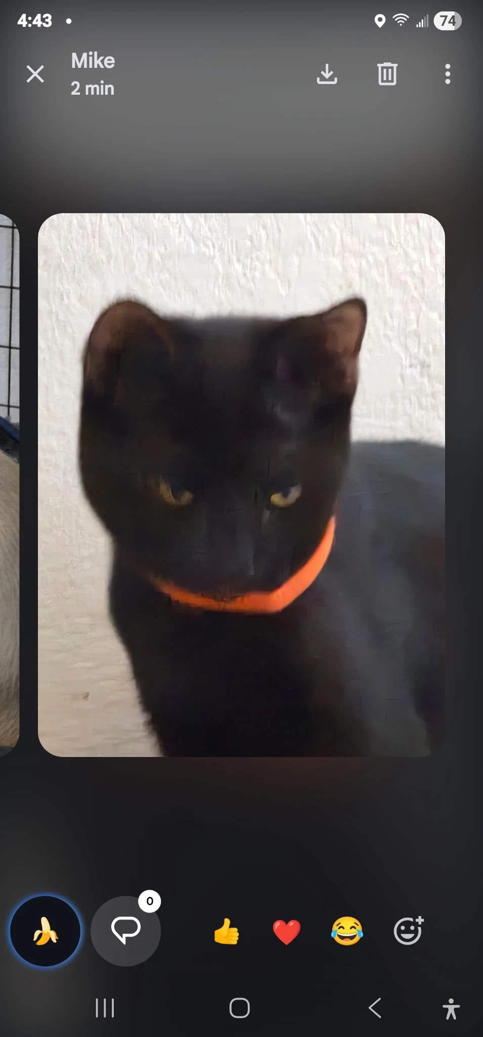 Onyx