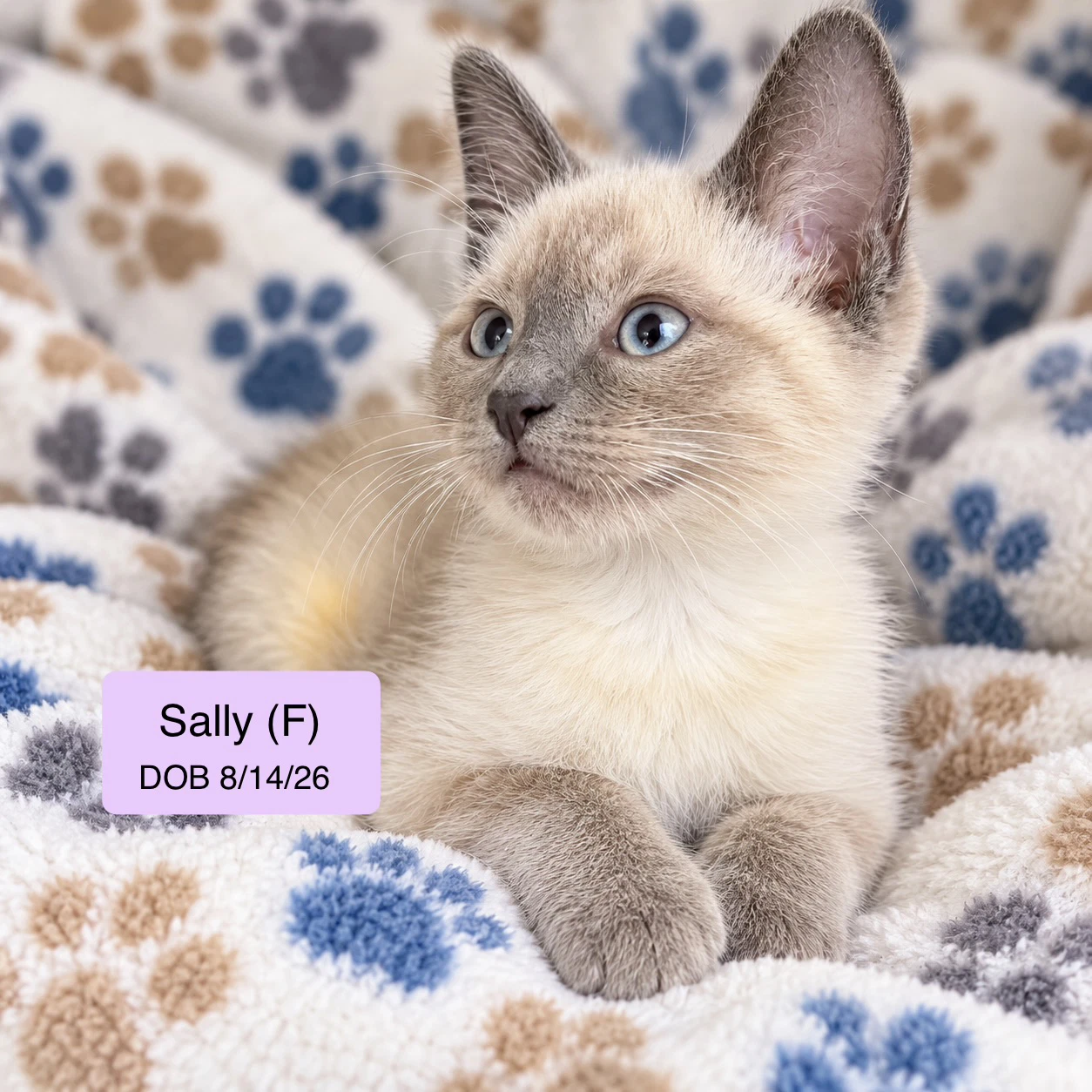 Sally