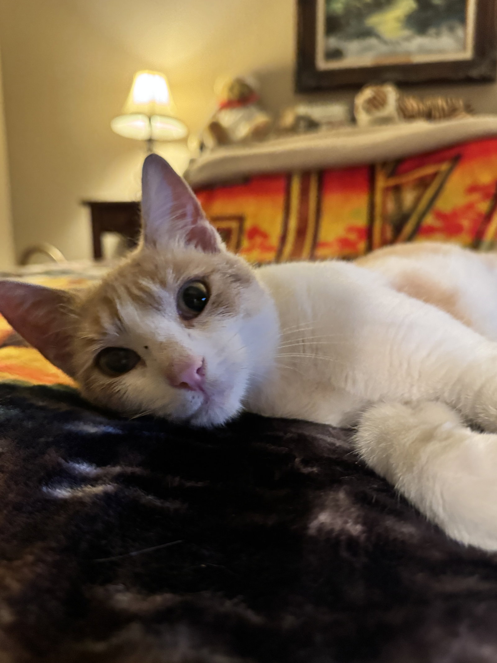 Ezri