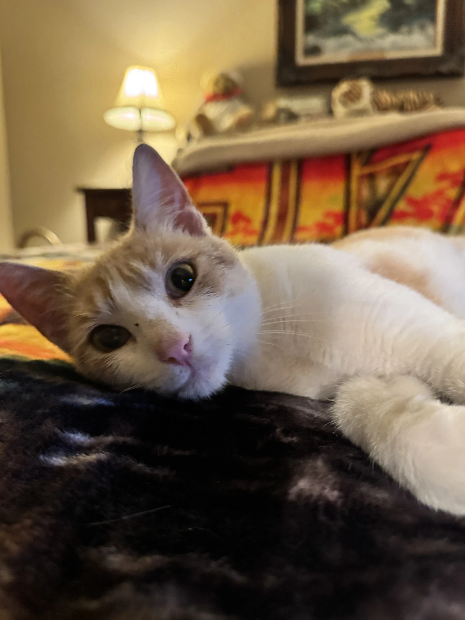 Ezri