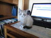 Cloud