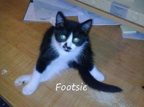 Footsie