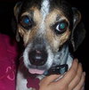 Chiquita